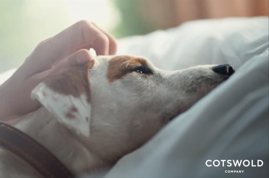 “The company you keep” depicts a family and their dog enjoying Cotswold Company furniture.