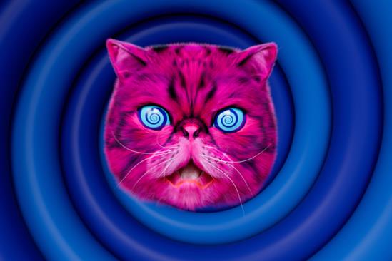 Material Focus "HypnoCat" by Truant London