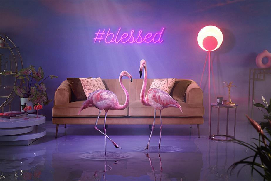 Settee, flamingoes, #blessed