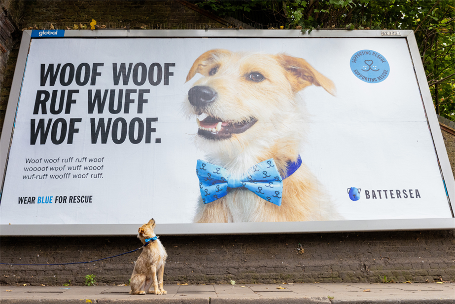 a dog looking at a photo of himself on a billboard