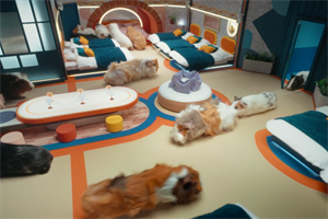 ITV Big Brother "Pig Brother" by ITV Creative